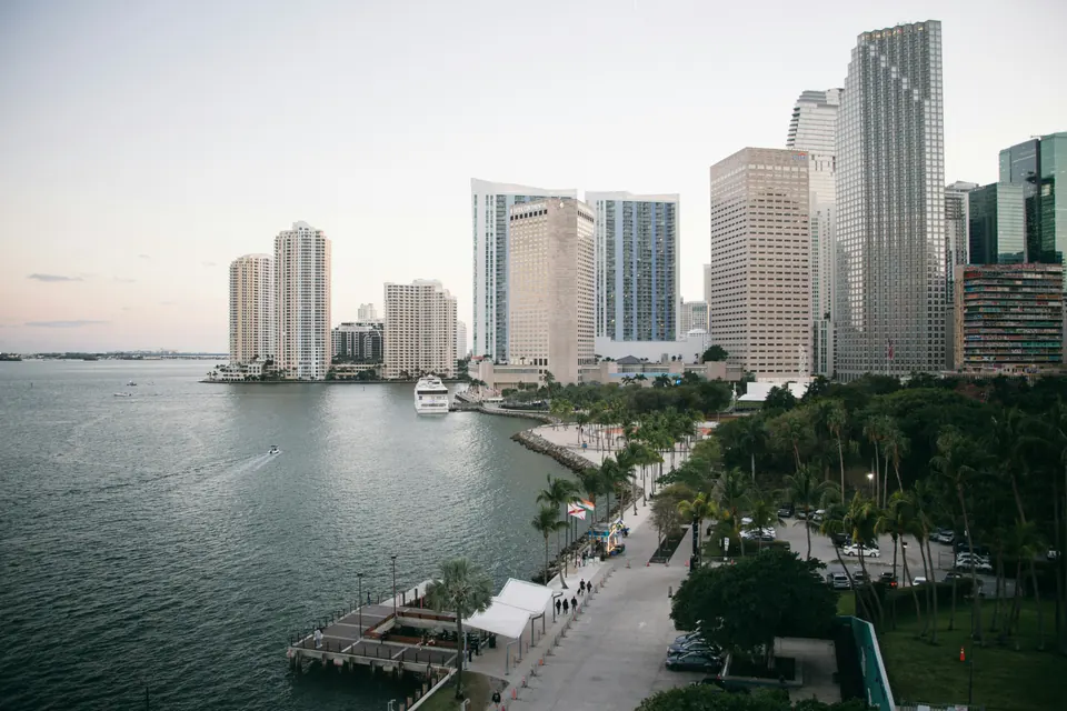 Edificios frente a la bahía de Miami al atardecer, con palmeras en la costanera