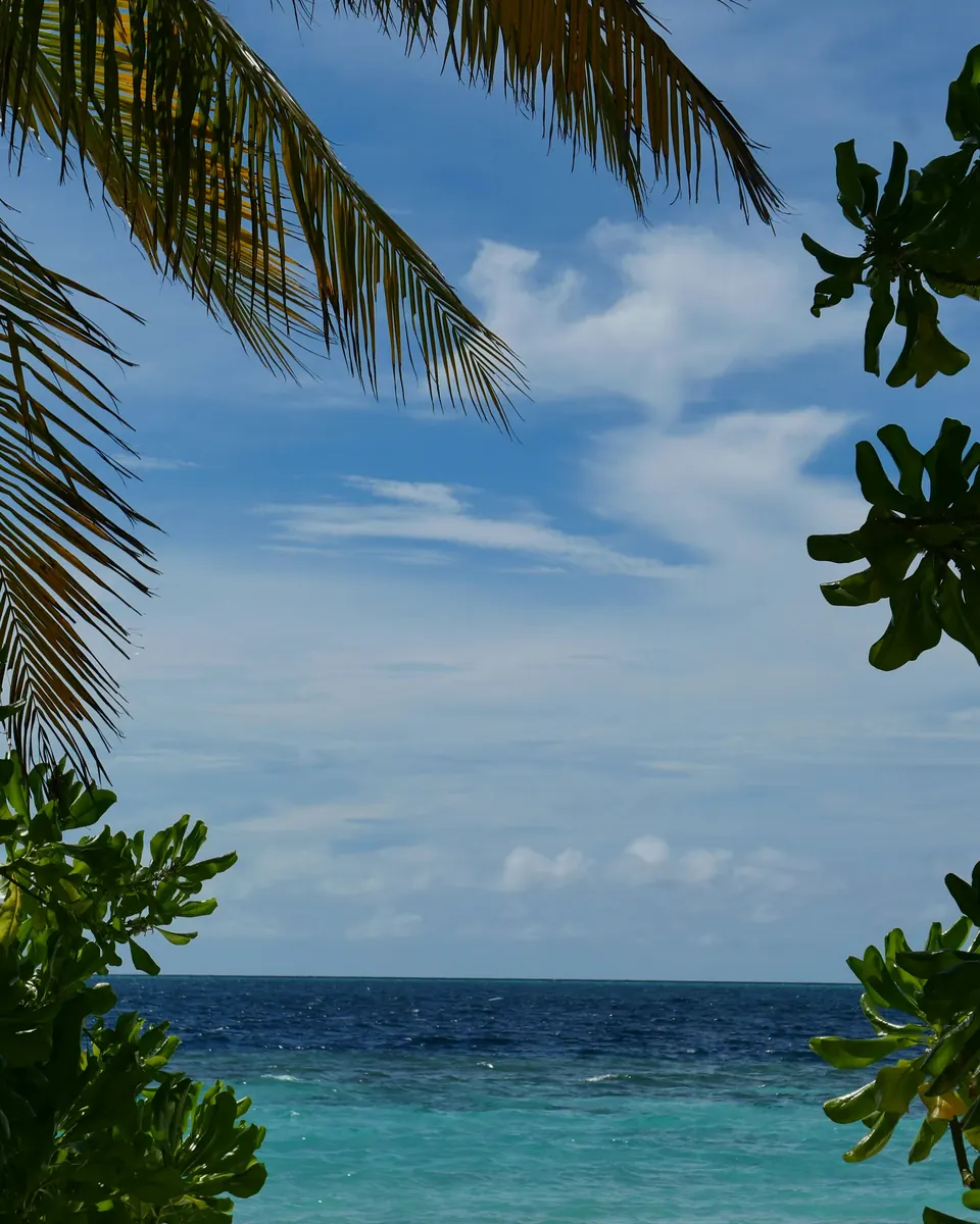 Mar turquesa visto entre palmeras en una playa tropical de arena blanca